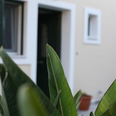 Apartament Aeraki Lefkáda Zewnętrze zdjęcie