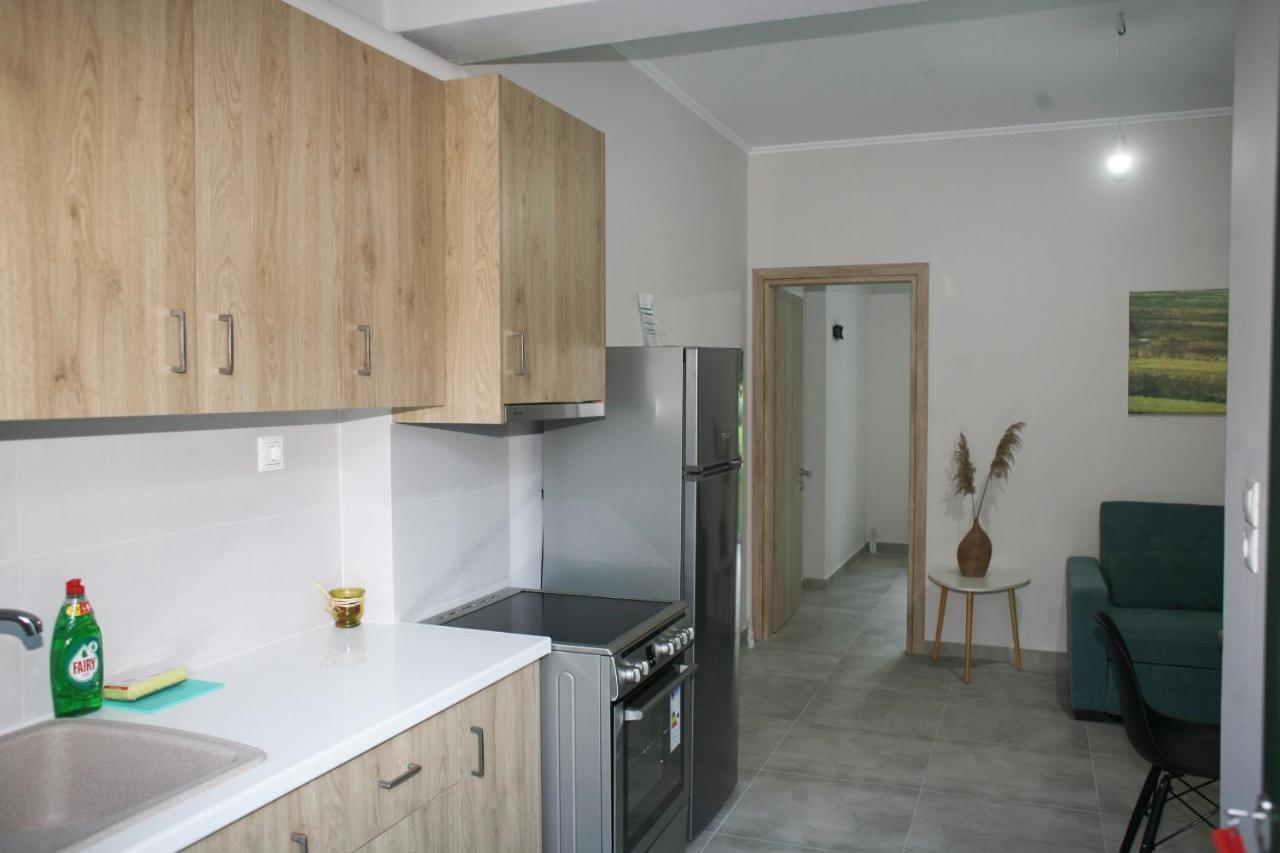 Apartament Aeraki Lefkáda Zewnętrze zdjęcie